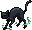 Gato da Bruxa